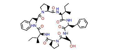 Euryjanicin D